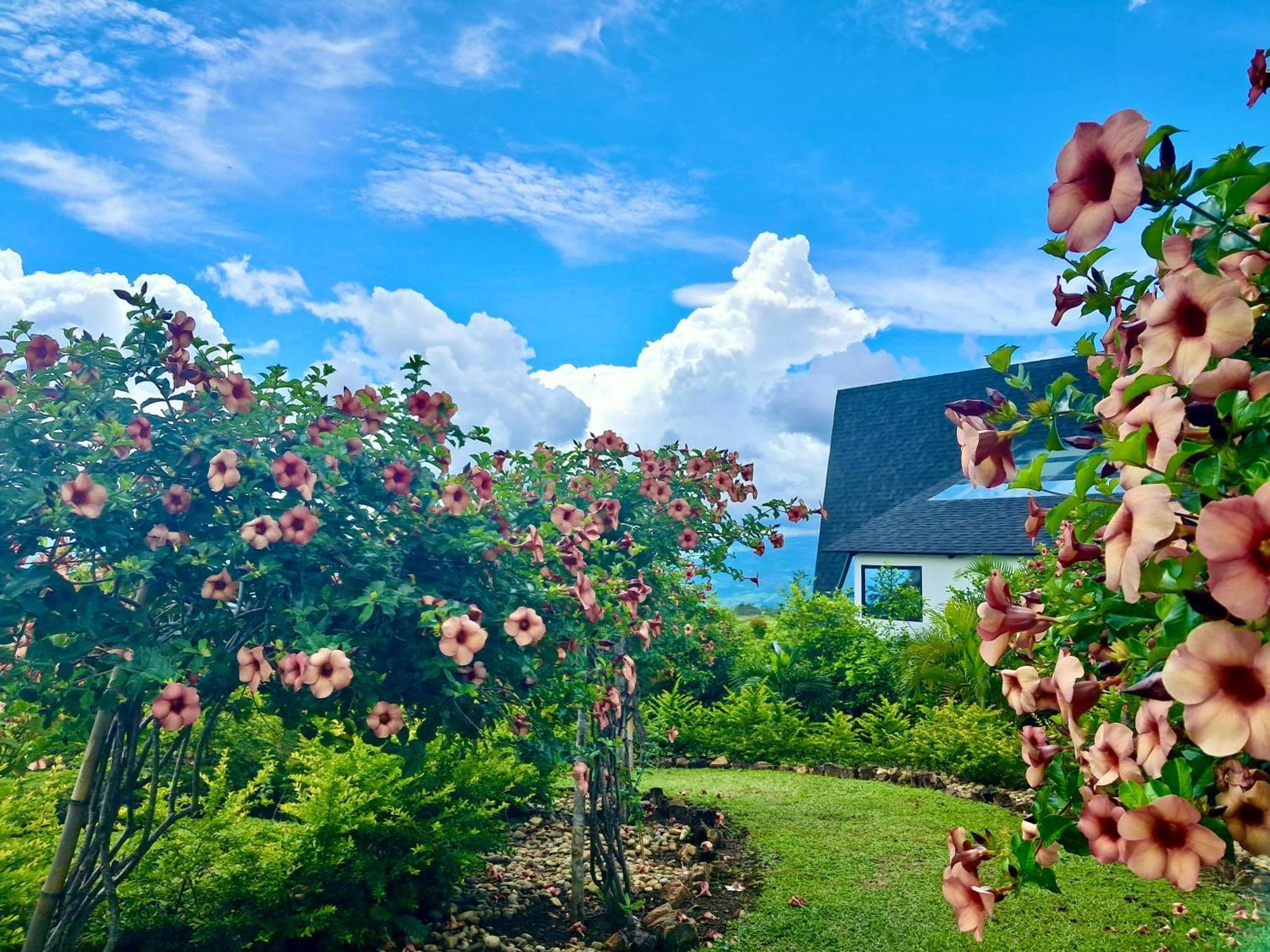 El Resort De Yanashpa - Тарапото Екстер'єр фото